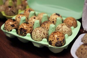 Quail eggs in an egg carton