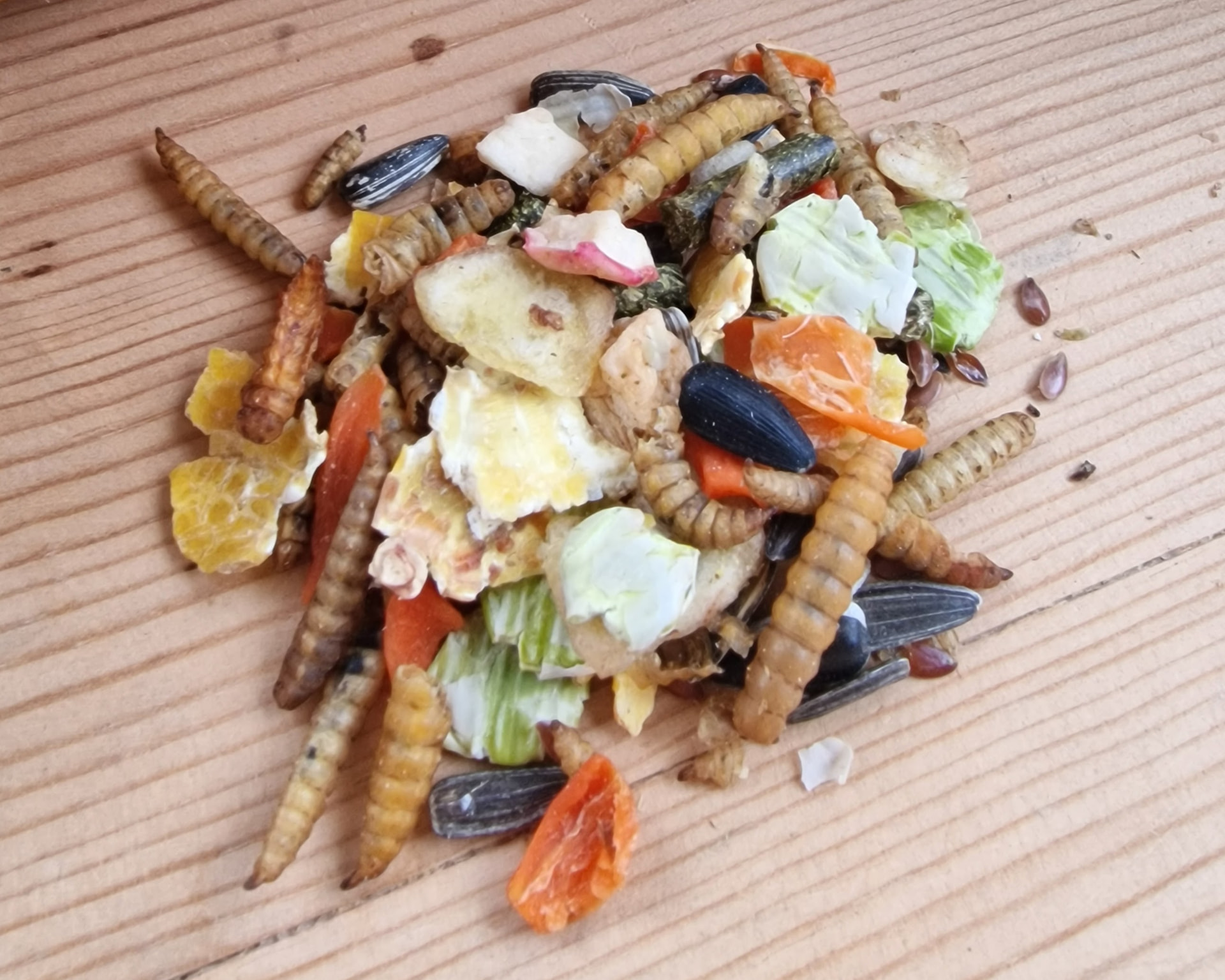 Close-up of Rotterace (rot race) with larvae, seeds, fruit and vegetables