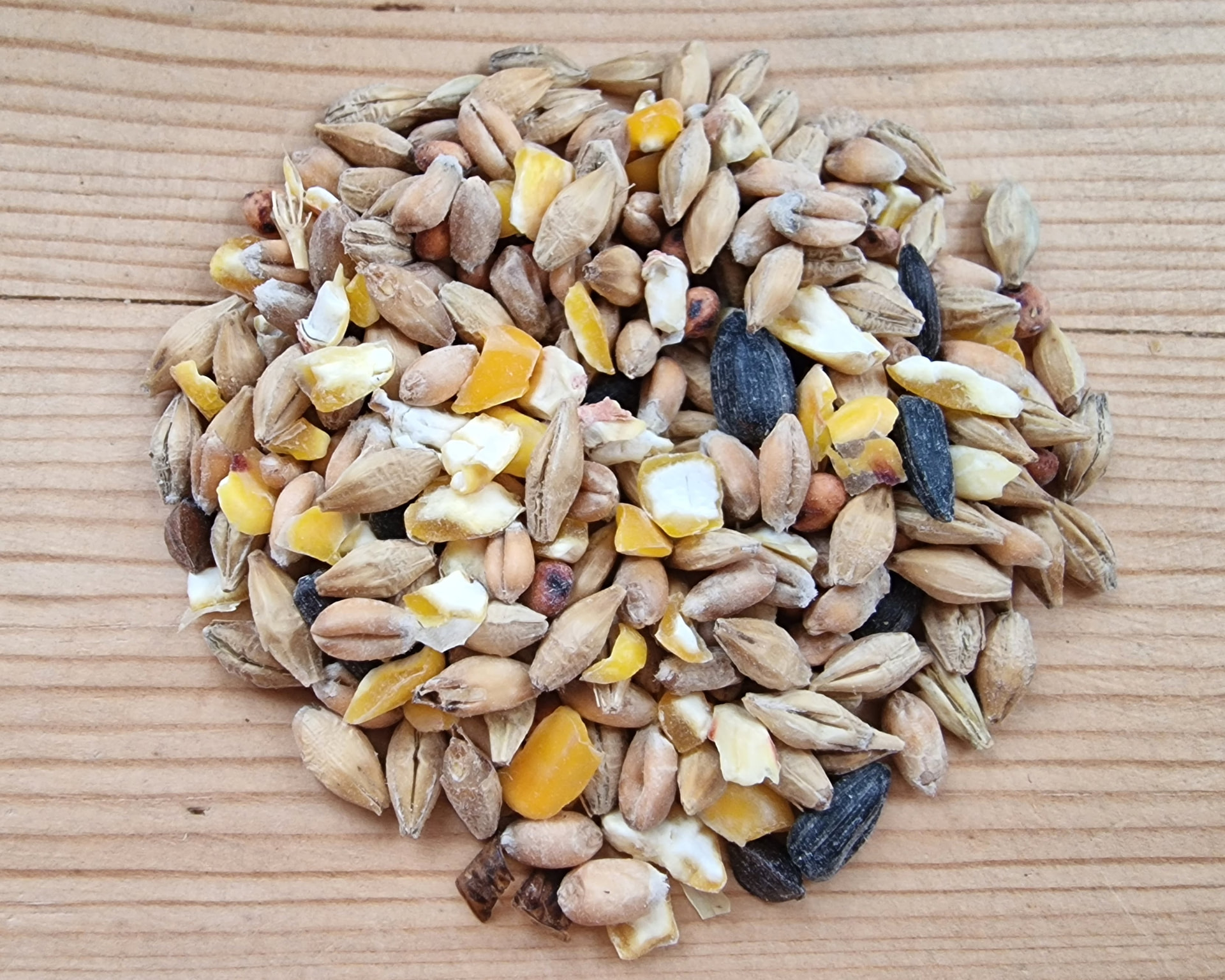 Close-up of Garvo 5145 with grain, maize and sunflower seeds