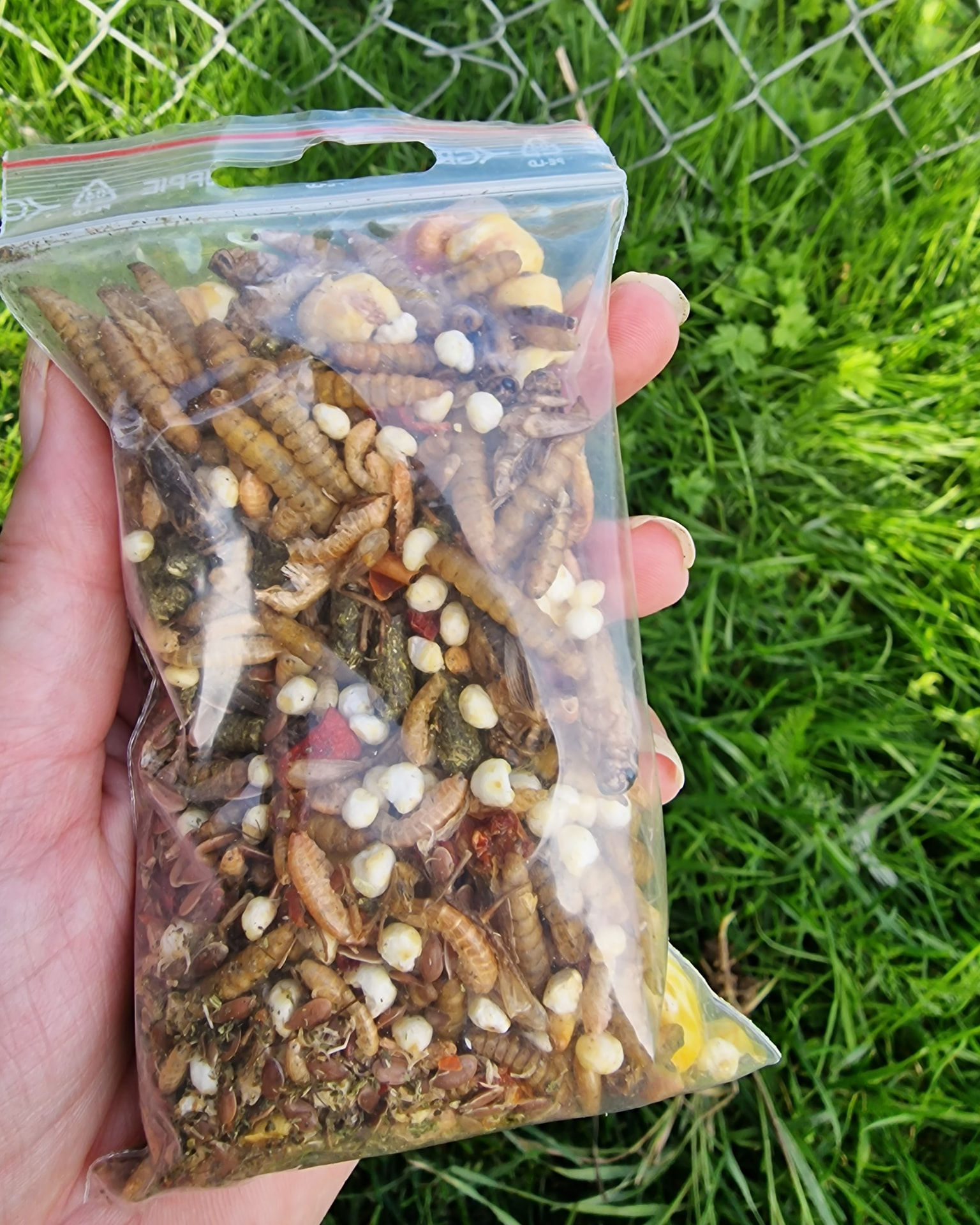 Close-up of a bag of Urbanmat Rotterace (rot race)