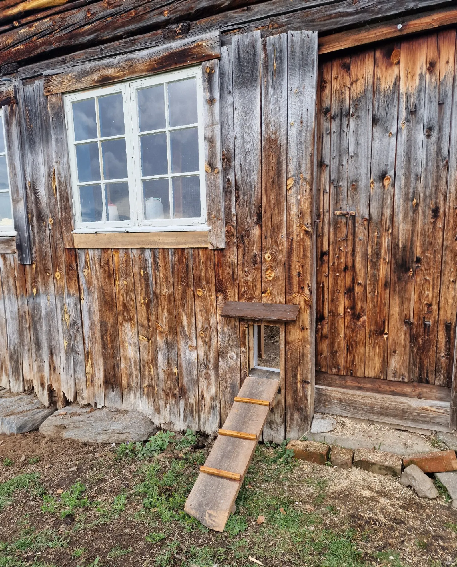 The opening in the barn wall seen from outside, with a homemade ramp of leftover timber leading up to it.