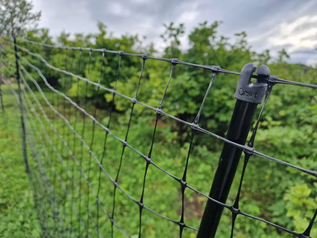 Close-up of the chicken fence