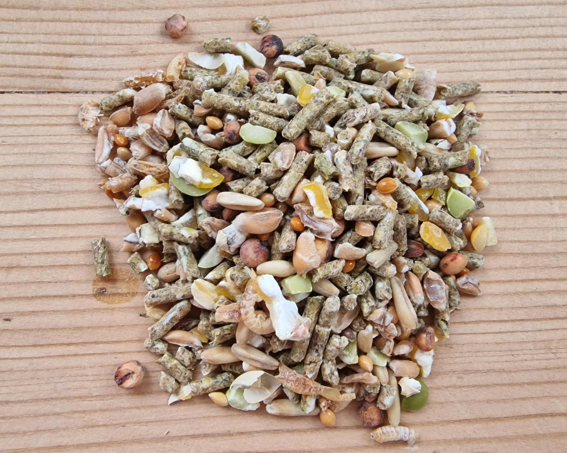 Close-up of Garvo 1080 Alfamix with pellets and seeds