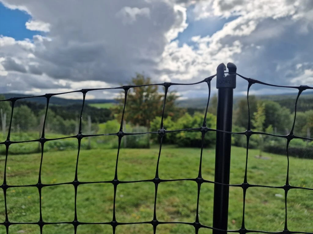 The fence standing firm