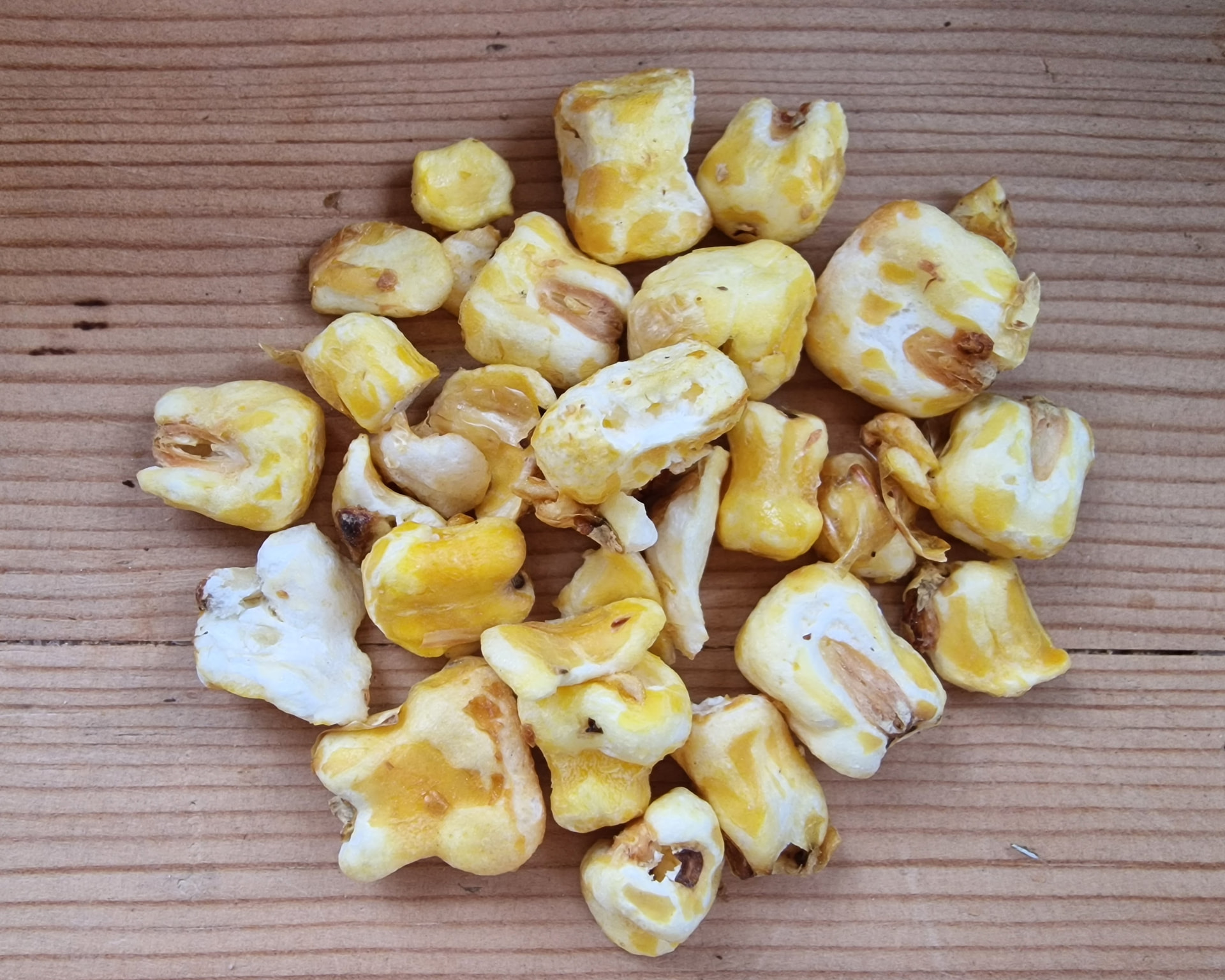 Close-up of Puffa (puffy) with puffed maize, quinoa, amaranth and barley