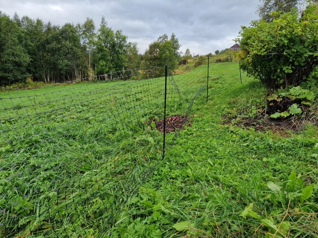 Netting looks a little crumpled before it has been fully adjusted