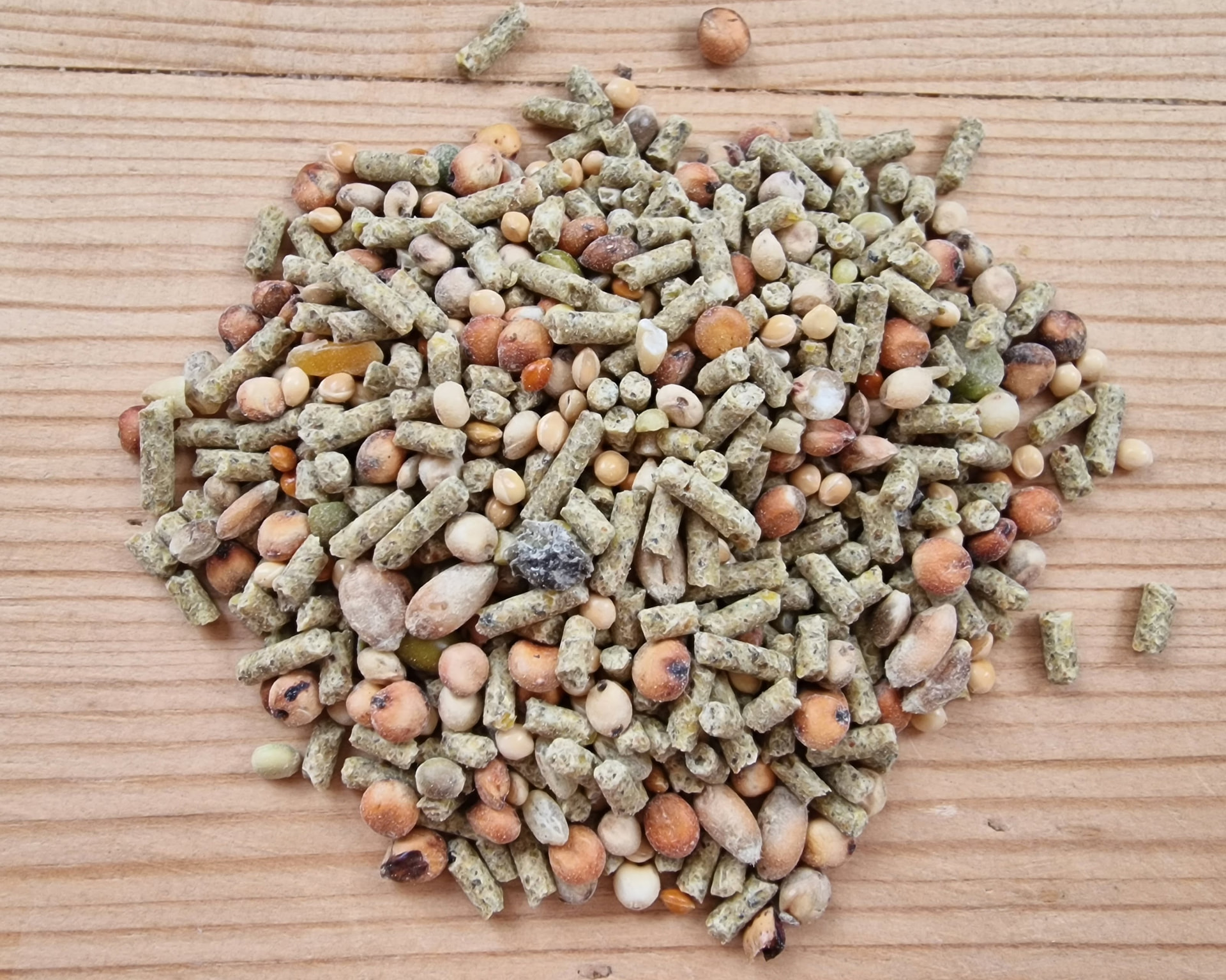 Close-up of Garvo 5036 Quailmixture with pellets, grains and seeds