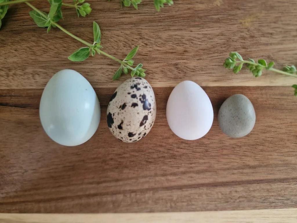 Four different eggs on a wooden board, including a Celadon egg