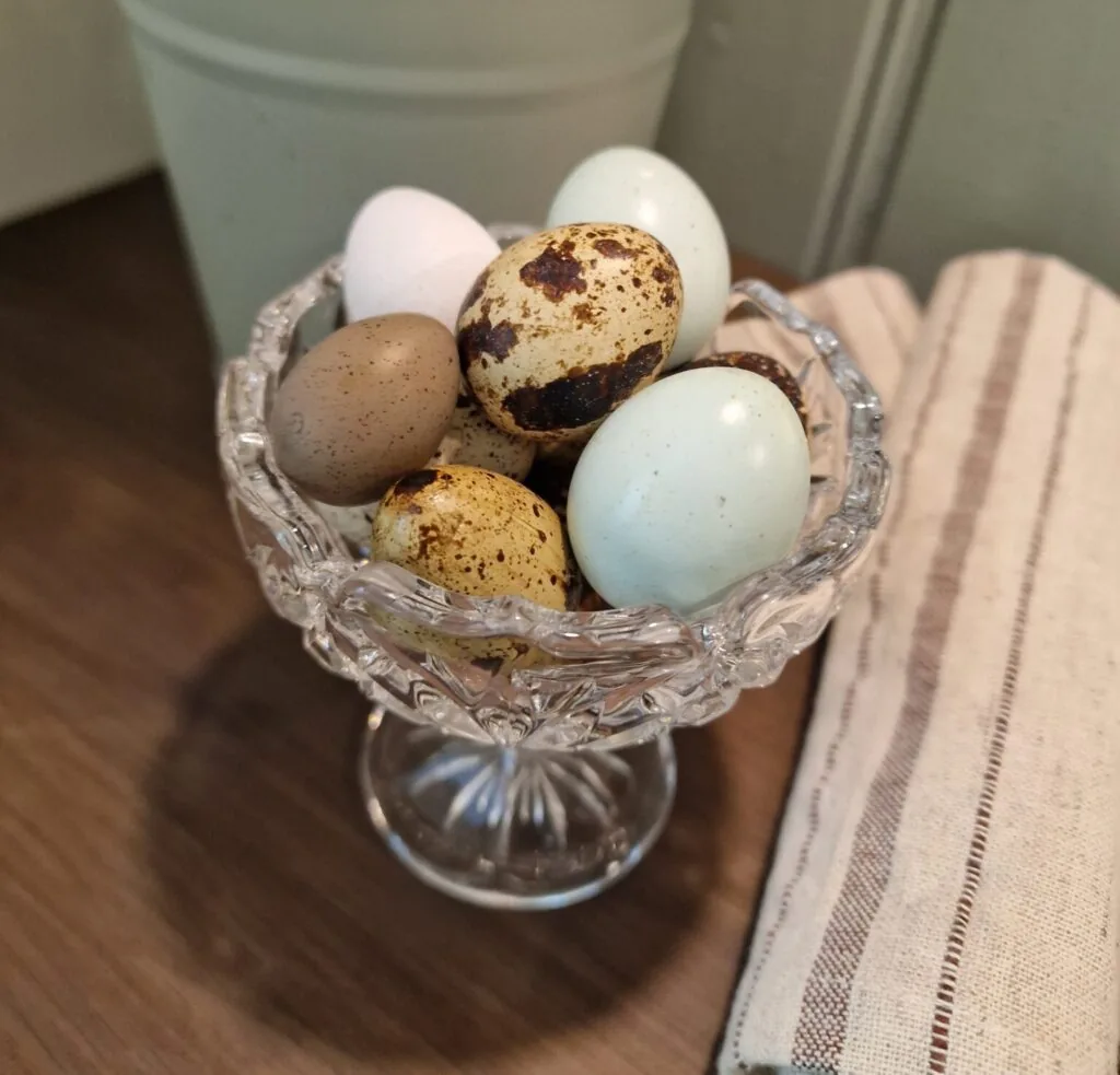A bowl of quail eggs in different colours and sizes