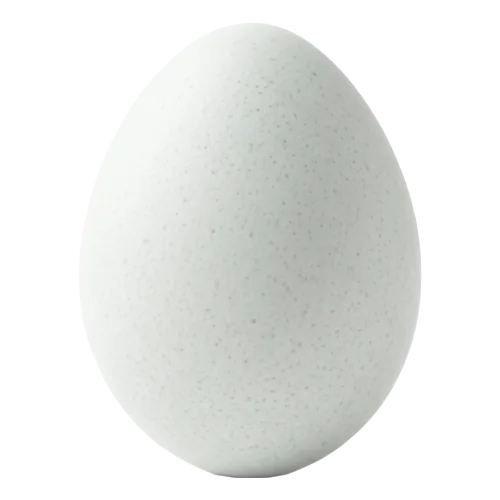White quail egg