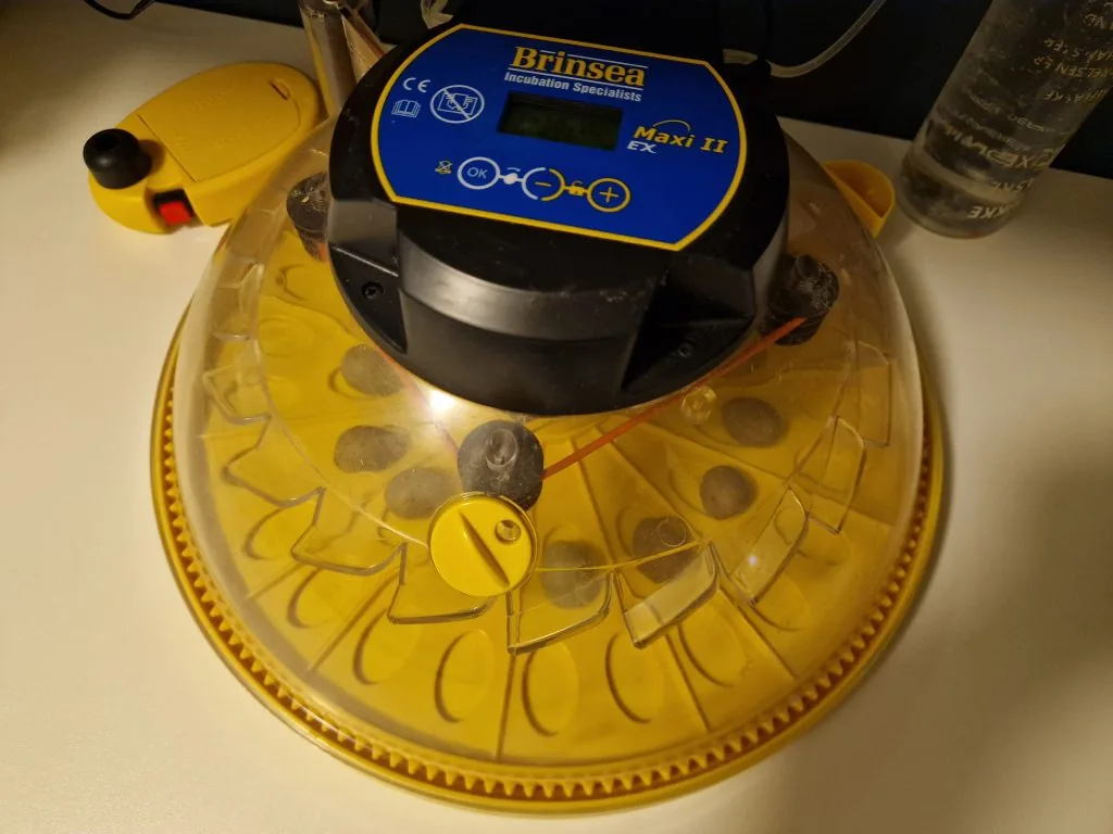 Brinsea Maxi II Ex incubator