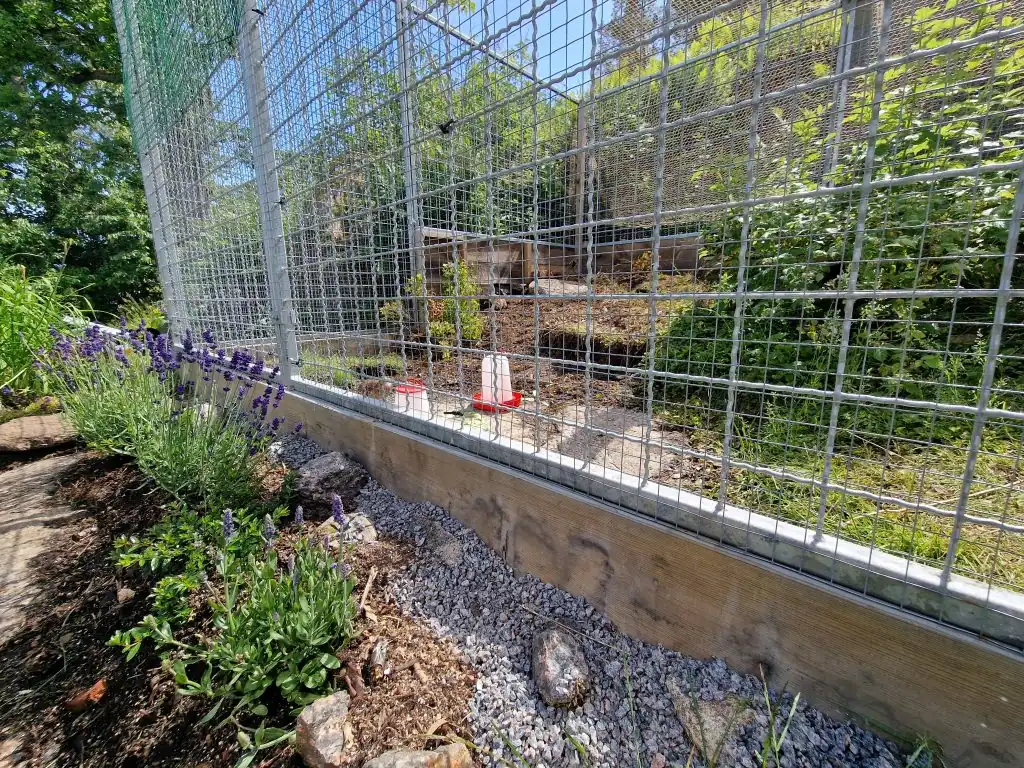 Predator-proof enclosure for quails