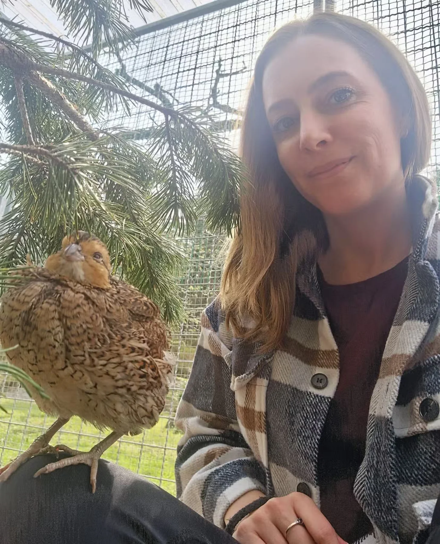 Irene Sveian with a northern bobwhite