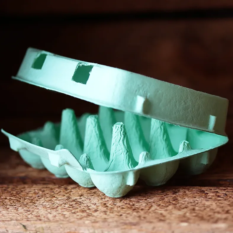 Quail egg carton for 12 eggs