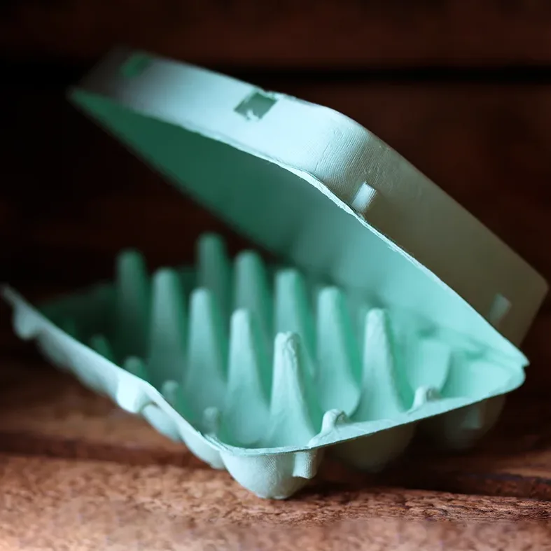 Quail egg carton for 18 eggs