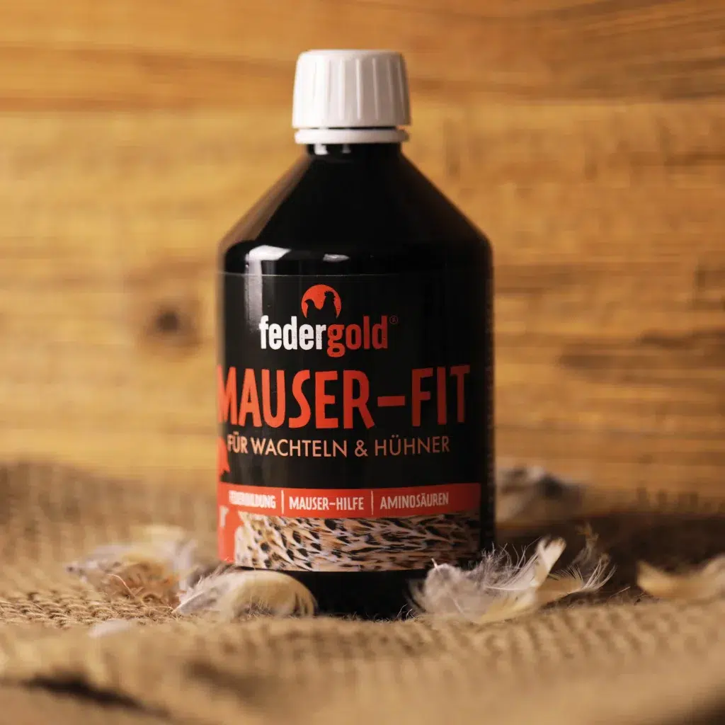 Mauser-Fit 500 ml