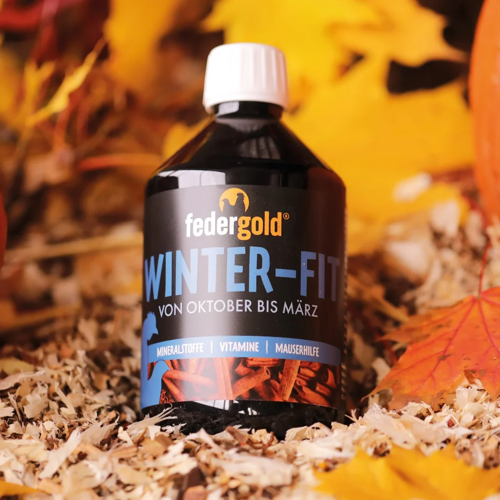 Winter-Fit 500 ml