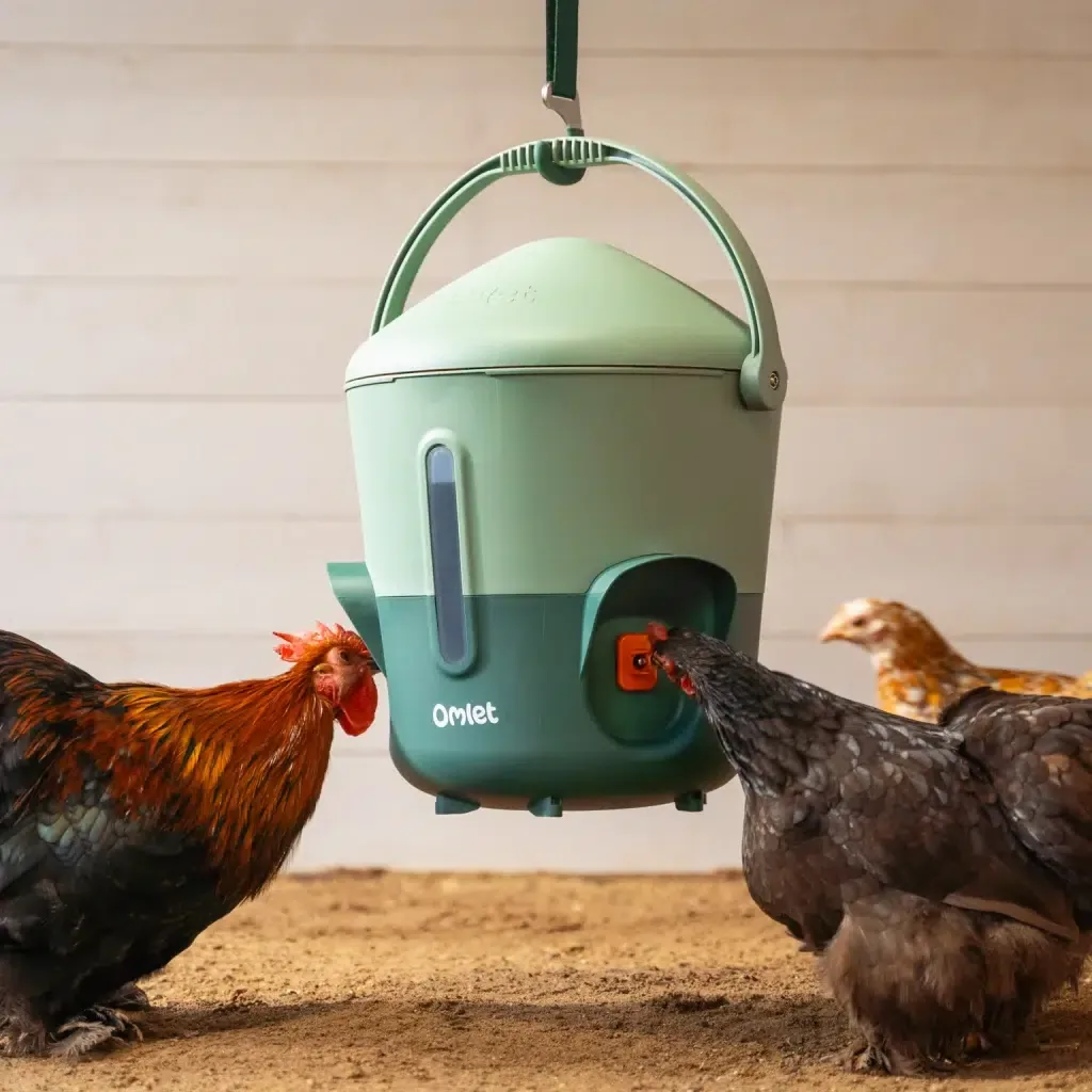 Omlet insulated water dispenser for hens and quails