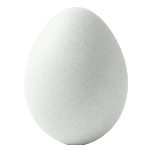 Chicken egg